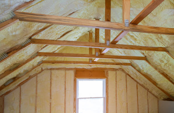 Best Insulation Contractor Near Me  in Walkertown, NC