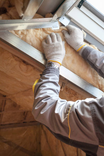 Best Home Insulation Services  in Walkertown, NC