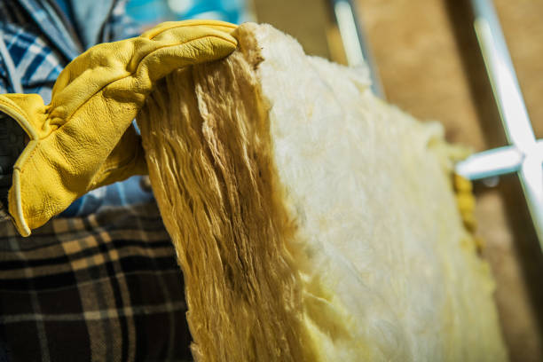Best Best Insulation Companies  in Walkertown, NC
