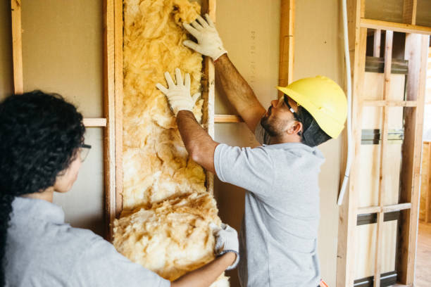Best Insulation Removal  in Walkertown, NC