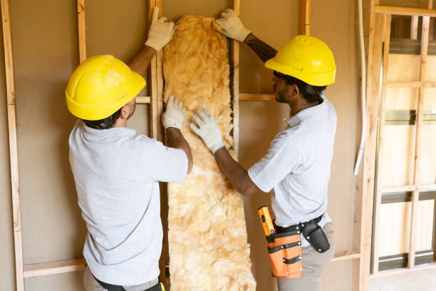 Best Blown-in Insulation  in Walkertown, NC