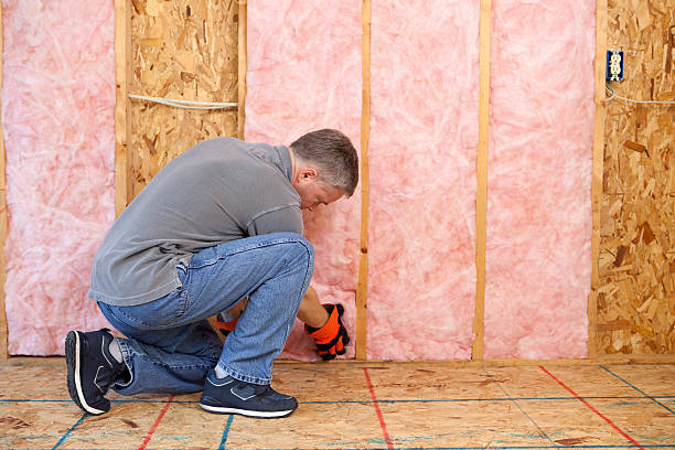 Best Attic Insulation Installation  in Walkertown, NC